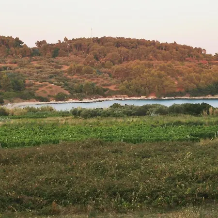 Vrdoljak
